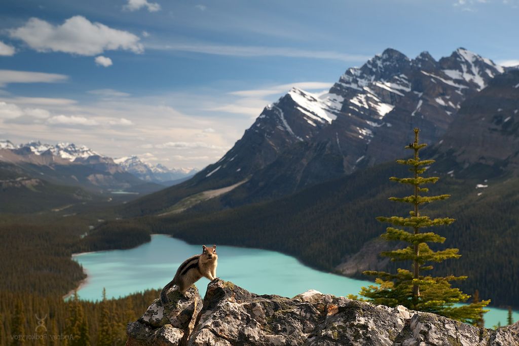 canadian landscape