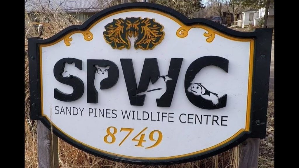 Sandy Pines Wildlife Centre