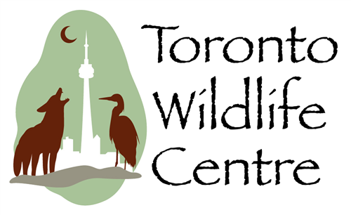 Toronto Wildlife Centre